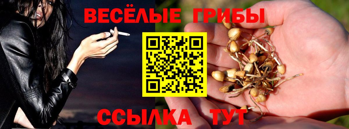 Саров  Псилоцибиновые грибы Psilocybine cubensis  Галлюциногенные грибы GOLDEN TEACHER  где купить наркотик  Вход с VPN 
