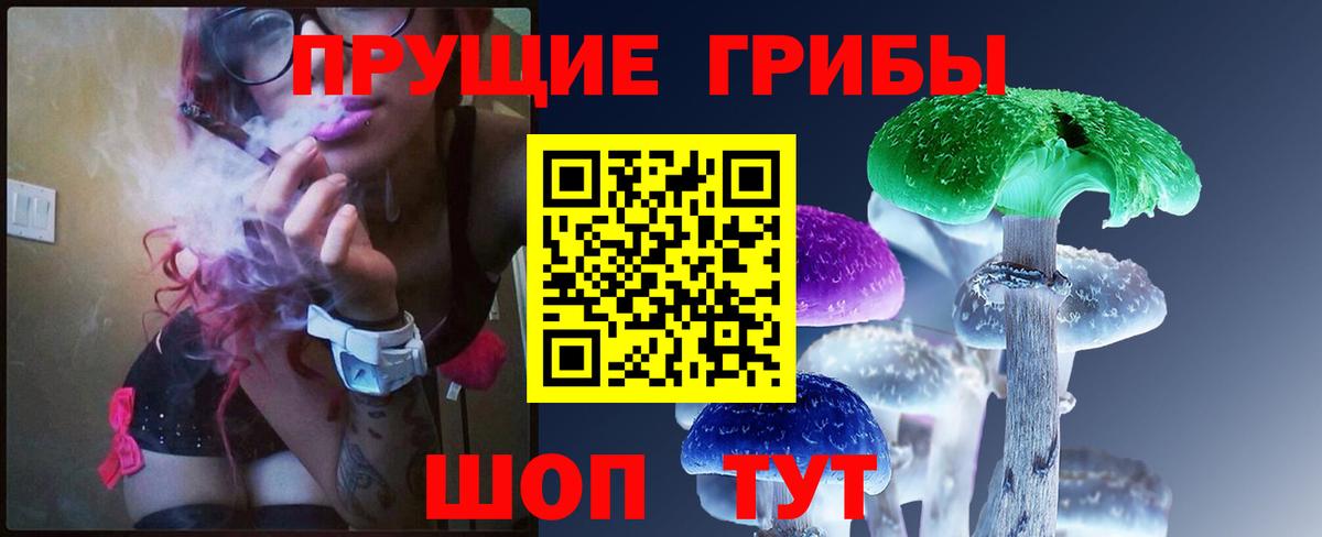 Псилоцибиновые грибы мицелий Саров